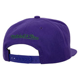 Mitchell & Ness HWC '93 Milwaukee Bucks Badge Line Snapback Hat-back