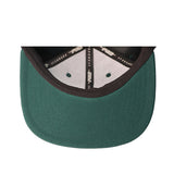 Pro Standard Script Tail Milwaukee Bucks Snapback Hat-underbill