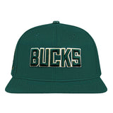 Pro Standard Wingspan Milwaukee Bucks Forest Wool Snapback Hat-front