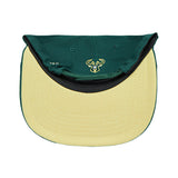 Pro Standard Wingspan Milwaukee Bucks Forest Wool Snapback Hat-UV
