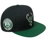 Pro Standard Retro Classic Milwaukee Bucks Snapback Hat-angled right