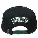 Pro Standard Retro Classic Milwaukee Bucks Snapback Hat-back