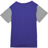 Mitchell & Ness HWC '93 Color Blocked Milwaukee Bucks T-Shirt in Purple and Grey - Back View