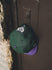 New Era 59Fifty HWC '93 Wordmark Milwaukee Bucks Fitted Hat In Green & Purple - Back View Lifestyle Photo On Door Knob