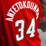 Youth Mitchell & Ness HWC '14 Giannis Antetokounmpo Milwaukee Bucks Swingman Jersey-model back