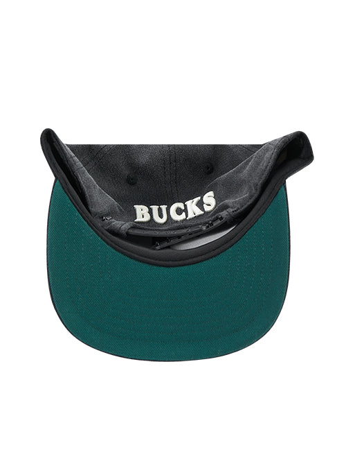 Pro Standard First Time Milwaukee Bucks Pro Snapback Hat-UV