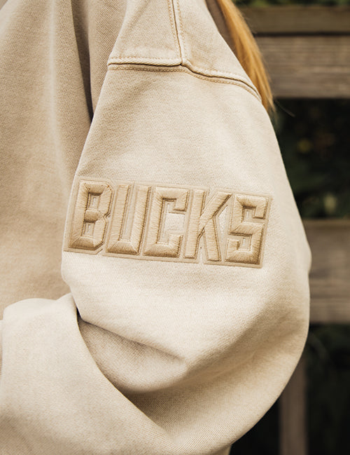 Pro Standard Classic Washed Milwaukee Bucks Hooded Sweatshirt-arm