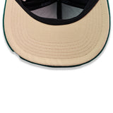 Pro Standard MKE Green Milwaukee Bucks Snapback Hat-UV