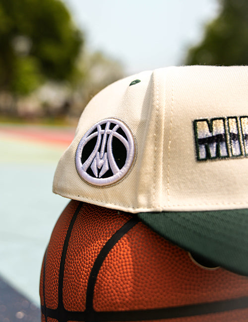 Pro Standard Chromatic Milwaukee Bucks Pinch Front Snapback Hat- patch