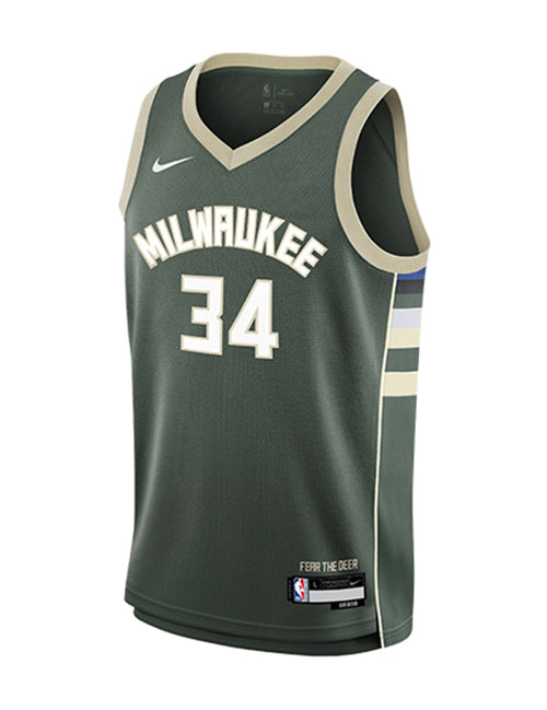 Youth Nike Icon Edition Giannis Antetokounmpo Milwaukee Bucks Swingman Jersey-front
