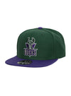 Mitchell & Ness HWC Team 2 Tone 2.0 Milwaukee Bucks Fitted Hat in Green and Purple - Angled Left Side View