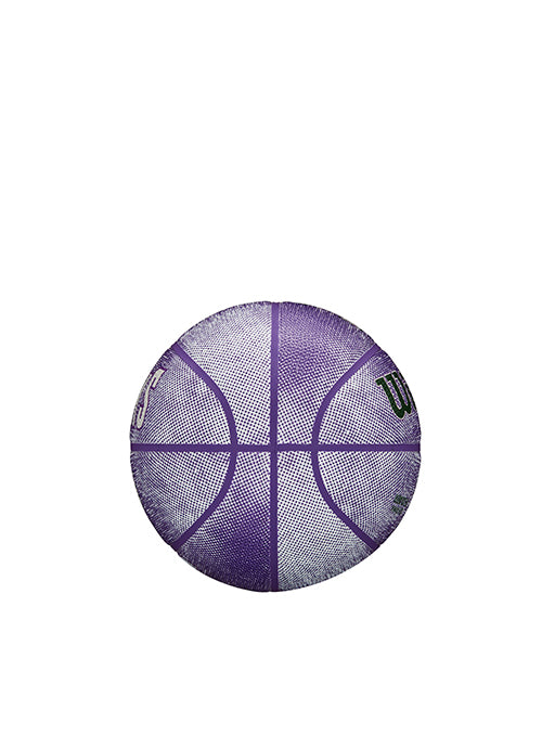 Wilson HWC '93 Milwaukee Bucks Mini Basketball- Side 4