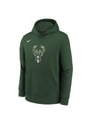 Juvenile Nike Club Logo Green Milwaukee Bucks Hooded Sweatshirt