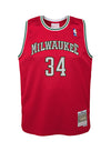 Youth Mitchell & Ness HWC '14 Giannis Antetokounmpo Milwaukee Bucks Swingman jersey-front