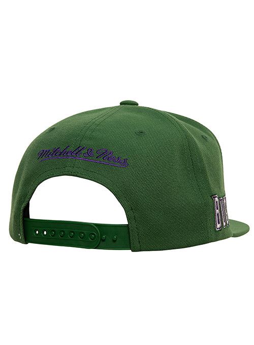 Milwaukee Bucks Snapbacks