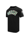 Pro Standard City Edition 2023 City Scape Milwaukee Bucks T-Shirt- Angled Front View