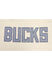 Pro Standard Varsity Blues Milwaukee Bucks Hooded Sweatshirt- Back Embroidery