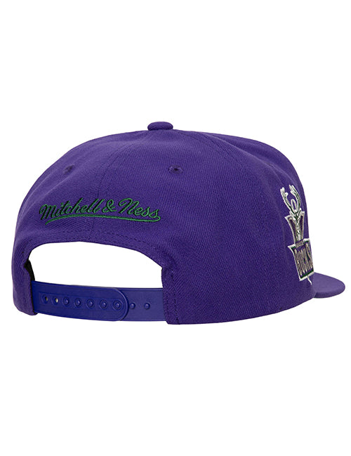 Mitchell & Ness Retro Sport Vintage Milwaukee Bucks Snapback Hat-back