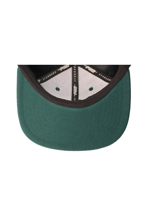 Pro Standard Script Tail Milwaukee Bucks Snapback Hat-underbill 