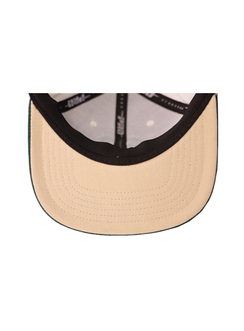 Pro Standard Pinstripe Classic Logo Milwaukee Bucks Snapback Hat-UV