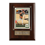 2023-2024 Giannis Antetokounmpo Milwaukee Bucks Trading Card Plaque