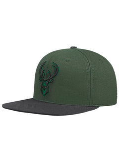 Pro Standard Fright Green Milwaukee Bucks 2-Tone Snapback Hat-angled left