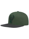 Pro Standard Fright Green Milwaukee Bucks 2-Tone Snapback Hat-angled left