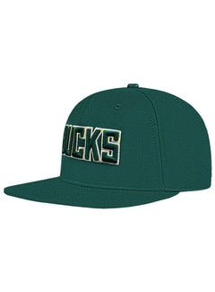 Pro Standard Wingspan Milwaukee Bucks Forest Wool Snapback Hat-angled left