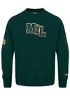 Pro Standard City Signature Milwaukee Bucks Crewneck Sweatshirt-front