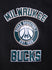 Pro Standard Retro Classic Milwaukee Bucks Hooded Sweatshirt-sleeve patch