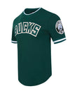 Pro Standard Classic Chenille Milwaukee Bucks Drop Hem T-Shirt-angled front