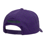 Mitchell & Ness HWC '93 Polka Dot Milwaukee Bucks Pro Crown Adjustable Hat-back