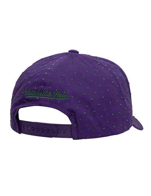 Mitchell & Ness HWC '93 Polka Dot Milwaukee Bucks Pro Crown Adjustable Hat-back