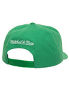 Mitchell & Ness Home Of Milwaukee Bucks Pro Pinch Front Adjustable Hat-back