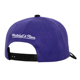 Mitchell & Ness HWC '93 Underarch Milwaukee Bucks Adjustable Hat-back