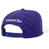 Mitchell & Ness HWC '93 Off Season Milwaukee Bucks Snapback Hat-back