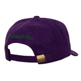 Mitchell & Ness Retro HWC '93 Milwaukee Bucks Adjustable Hat-back