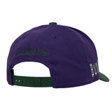 Mitchell & Ness HWC '93 Brushed Off Milwaukee Bucks Snapback Hat-back
