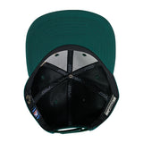 Pro Standard Living Large Green Milwaukee Bucks Snapback Hat-UV