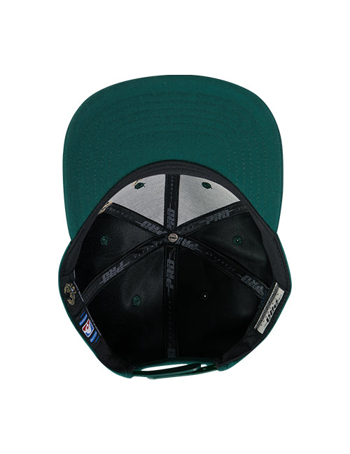 Pro Standard Living Large Green Milwaukee Bucks Snapback Hat-UV