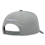 Mitchell & Ness HWC '68 Thunderstorm Milwaukee Bucks Adjustable Hat-back