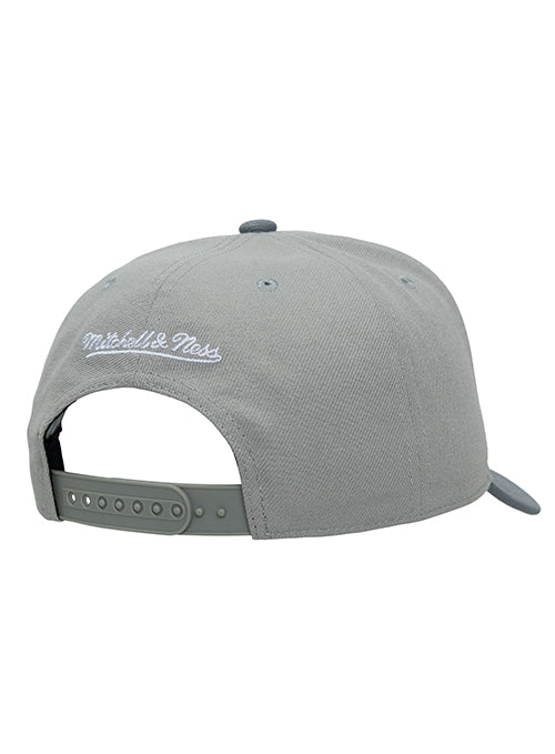 Mitchell & Ness HWC '68 Thunderstorm Milwaukee Bucks Adjustable Hat-back