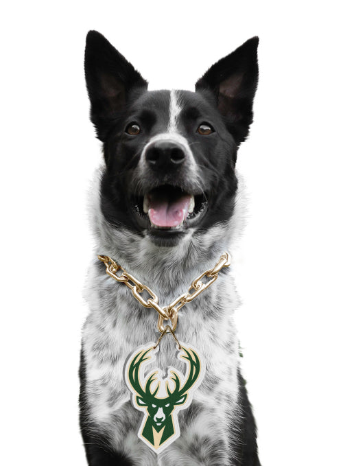 Bucks Pro Shop Icon Milwaukee Bucks Pet Fan Chain