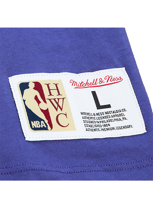 Mitchell & Ness HWC '93 Color Blocked Milwaukee Bucks T-Shirt in Purple and Grey - Zoom View Left Hip Tag