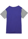 Mitchell & Ness HWC '93 Color Blocked Milwaukee Bucks T-Shirt in Purple and Grey - Back View