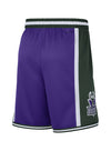 Nike 2022-23 Classic Edition Milwaukee Bucks Swingman Shorts In Purple & Green - Back View