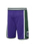 Youth Nike 2022-23 Classic Edition Milwaukee Bucks Swingman Shorts In Purple, Green & White - Back View