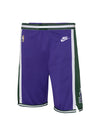 Youth Nike 2022-23 Classic Edition Milwaukee Bucks Swingman Shorts In Purple, Green & White - Front View