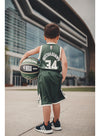 Toddler Nike Giannis Icon Milwaukee Bucks Swingman Jersey In Green - Back View On Child Model