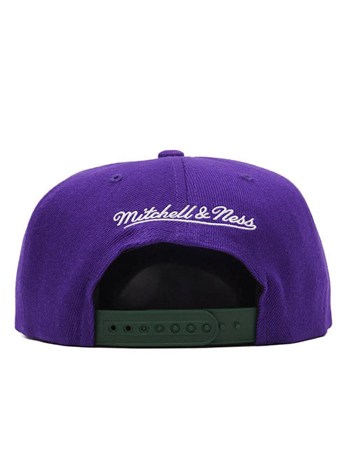 Mitchell & Ness Bucks 2 Tone Classic Snapback Hat - Purple/Dark  Green/Throwback